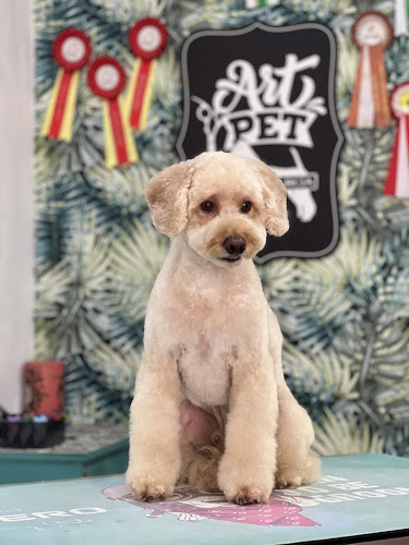 Negocio Peluquería Canina Y Felina Art Pet
