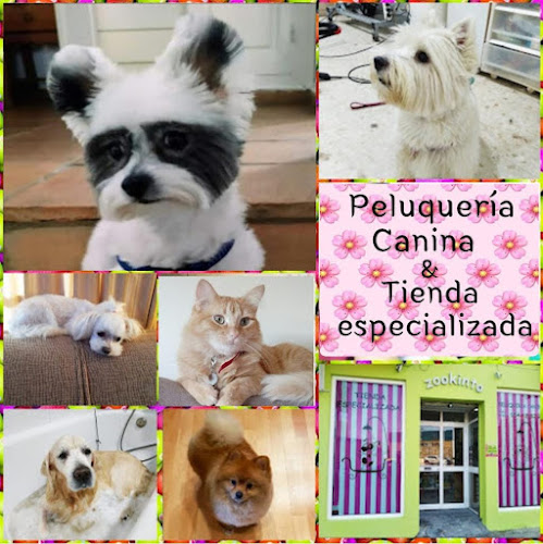 Negocio Peluquería Canina Zookinto
