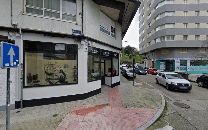 Negocio Peluquería Canina