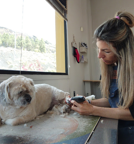 Negocio Peluquería Wellmann