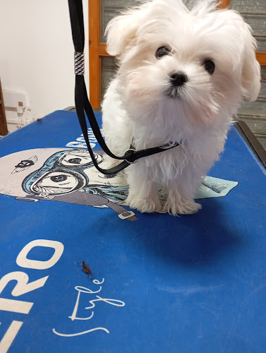 Negocio Peluts Pelats Roda De Berà