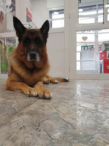 Negocio Peluts Perruqueria Canina