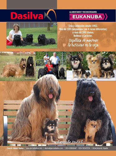 Negocio Perros Dasilva