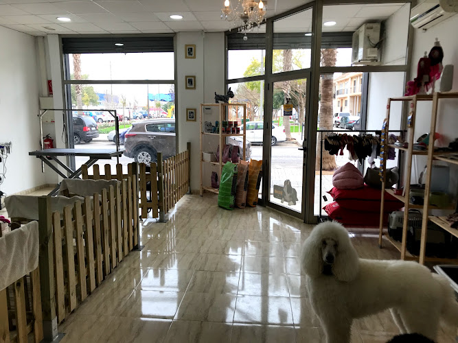 Negocio Perruqueria Canina Dog Stars