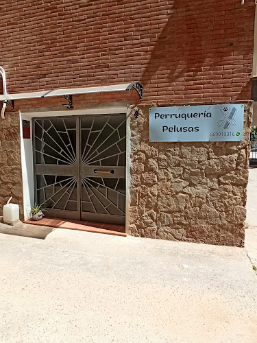 Negocio Perruquería Pelusas