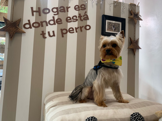 Negocio Perruras - Peluquería Canina - Tienda De Mascotas