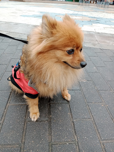 Negocio Pet Center Veterinaria