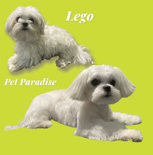 Negocio Pet Paradise Peluqueria Canina