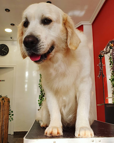 Negocio Petstyle House