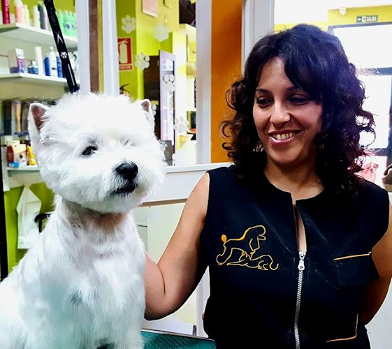 Negocio Pet´s Show Peluquería Canina