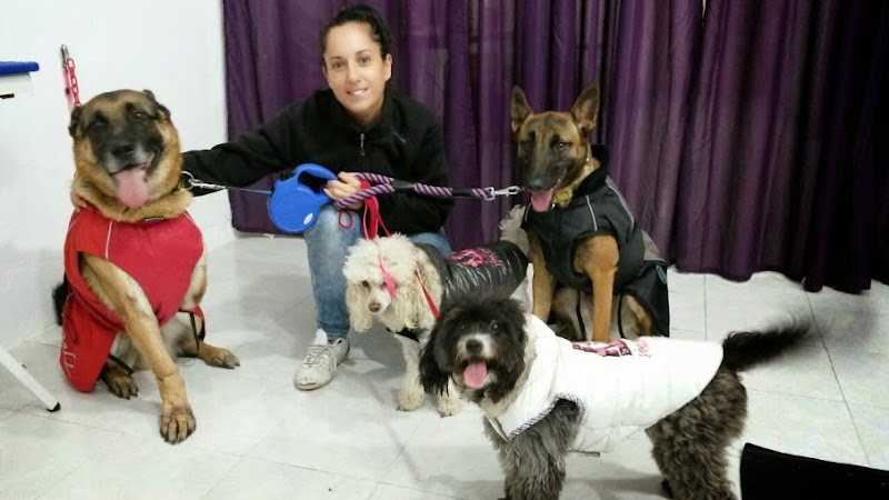 Negocio Pili&Mili Estilistas Caninos