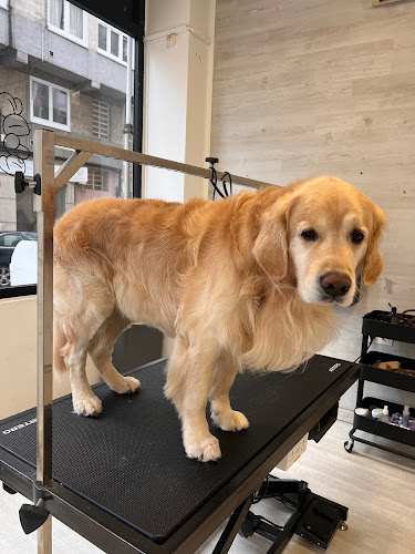 Negocio Plds Peludos