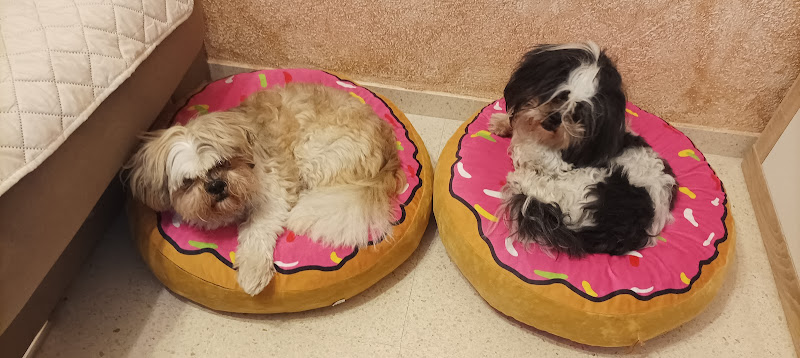 Negocio Pomis Peluquería Canina