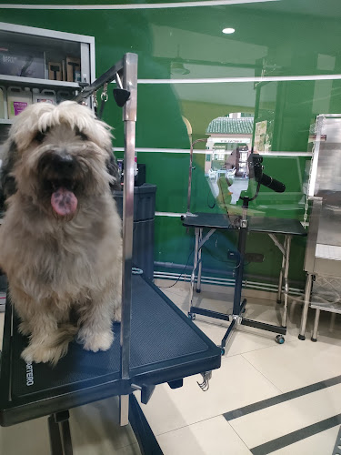 Negocio Portsagos | Peluquería & Tienda De Mascotas