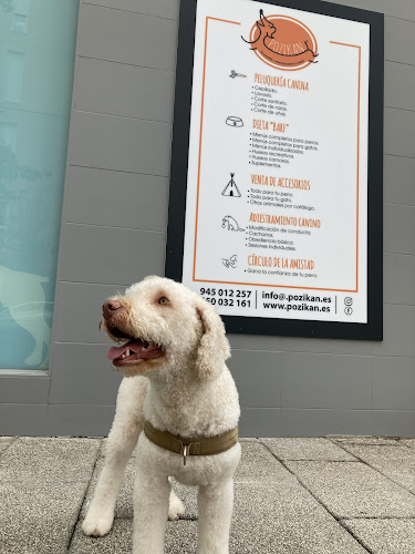 Negocio Pozikan