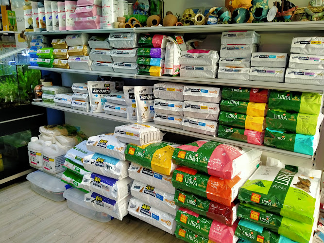 Negocio Premium Mascotas