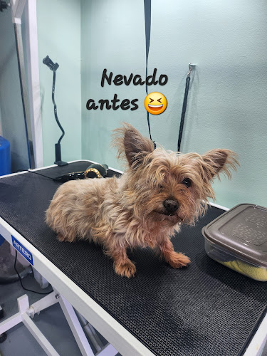 Negocio Puroperro.es