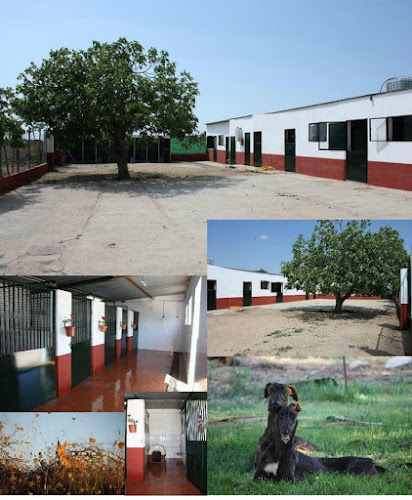 Negocio Residencia Canina El Hogar Del Perro