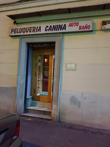 Santi - Peluquería Canina