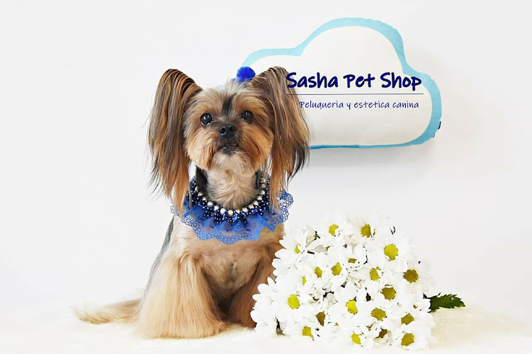 Negocio Sasha Pet Shop