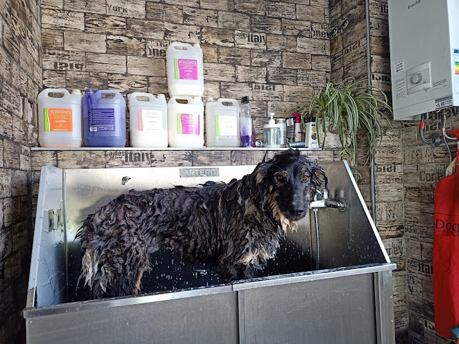 Negocio Snoopy Groomer - Peluqueria Canina Y Felina