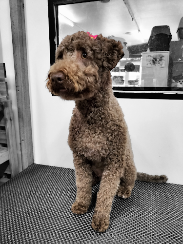 Sos Pelines / Peluquería Canina Coruña