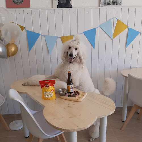 Negocio Star Dogs Vinaros