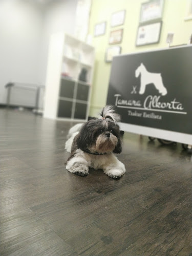 Negocio Tamara Alkorta Txakur Estilista