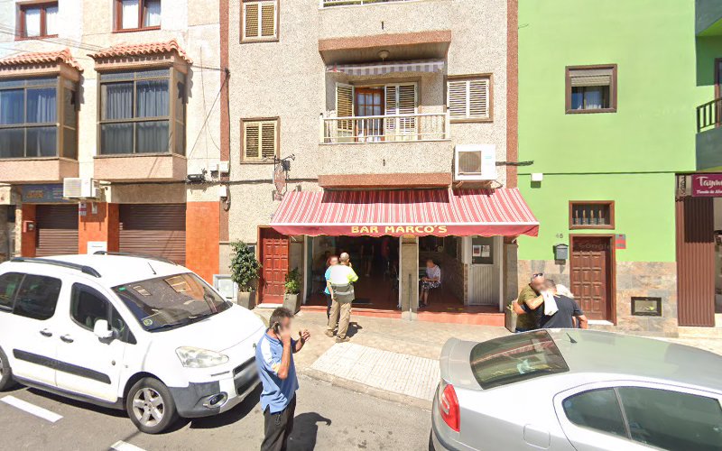 Negocio Tayma Peluquería Canina