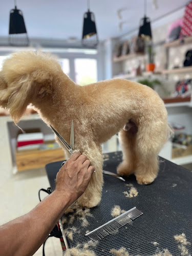 Negocio The Dog Groomer