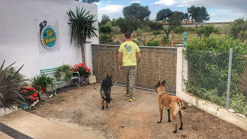 Negocio Tiki Ohana - Resort Canino Y Exóticos, Mondioring Y Adiestramiento