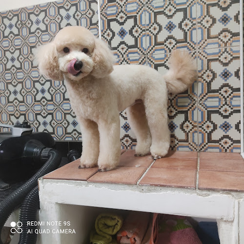 Negocio Top Can Guadix