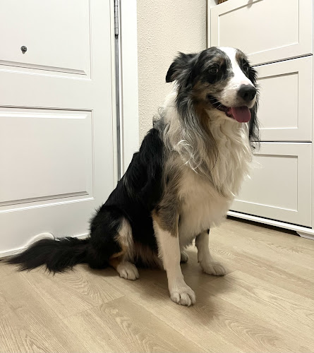 Negocio Tú Compi De Vida Escoscao