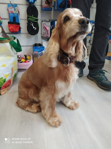 Negocio Txakurtxoko Peluquería Canina