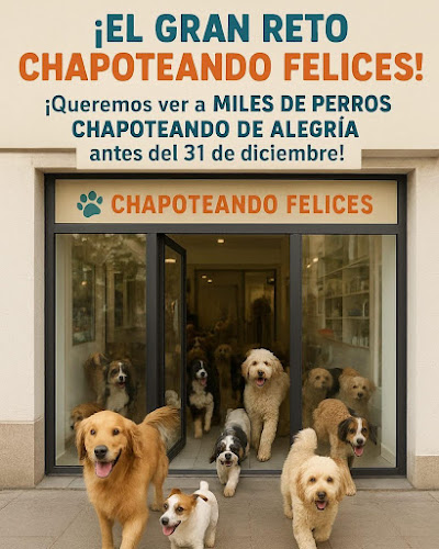 Negocio Txapoteando Felices Peluquería Canina Y Felina Autolavado De Mascotas