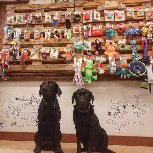 Negocio Urubi Tienda De Productos Para Animales Y Educación Canina