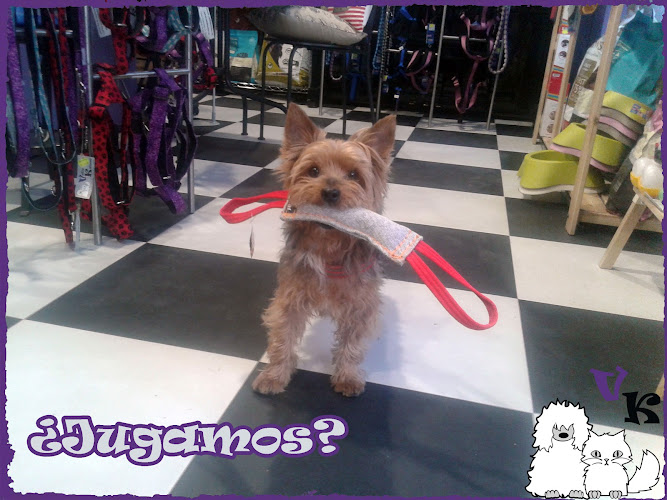 Negocio Vallekanino | Comida Natural Para Perros