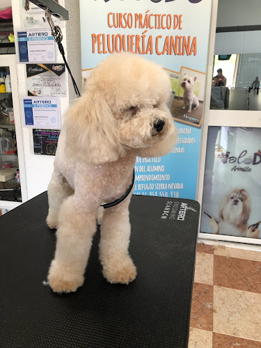 Negocio Valodu Armilla