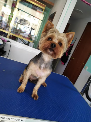 Negocio Vaya Greñas