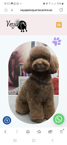 Negocio Veya Peluquería Canina Y Tienda (Ozonoterapia)