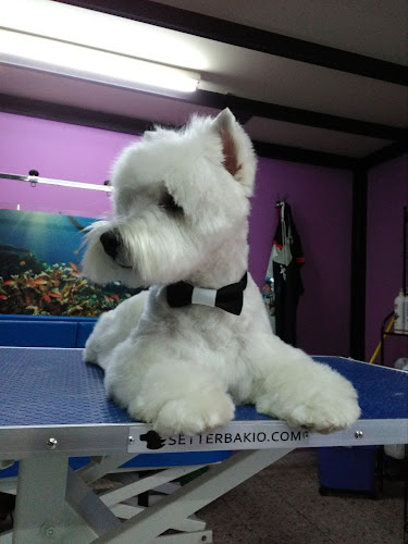 Negocio Victoria's Pet House