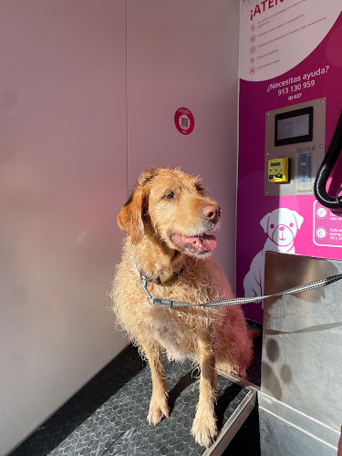 Negocio Wasky | Autolavado De Mascotas Ciudad Real