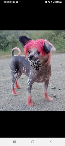 Negocio Zoo La Tienda De Tu Mascota