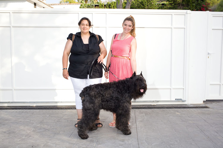 Negocio Zoraican Peluqueria Canina