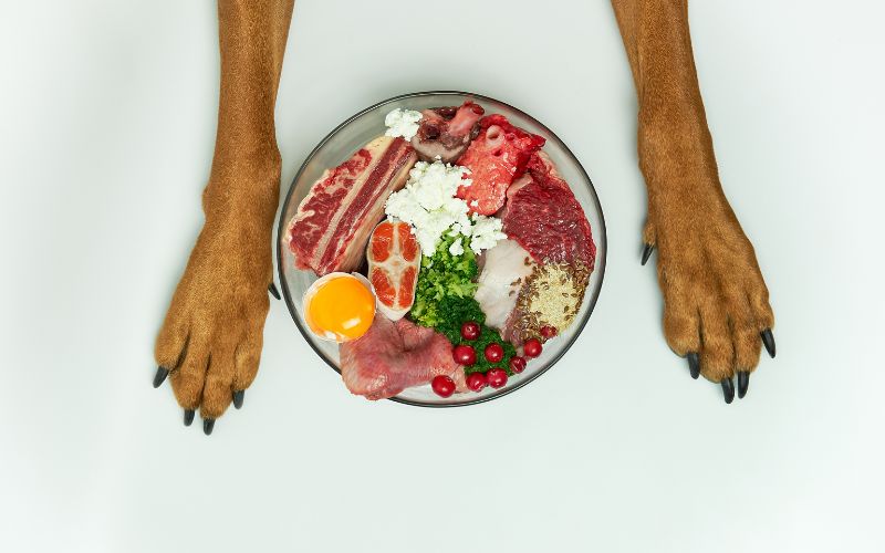 alimentos para le pelo de los perros